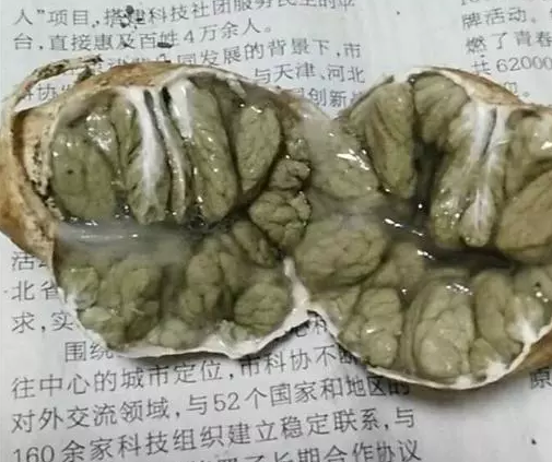 圖片關鍵詞