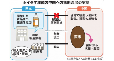 行業動態